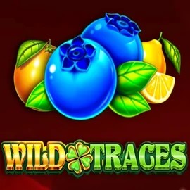 Enjoy Wild Traces by Amusnet Interactive – logo hosted on spinits.pl